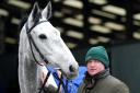 Eldorado Allen is Dorset's only hope in the 2024 Grand National this Saturday