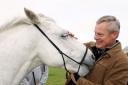 Martin Clunes with one of the horses- the actor has praised the scheme to help offenders