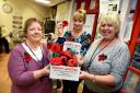 POPPY APPEAL: Dedicated volunteers raise hundreds of pounds with knitted poppies