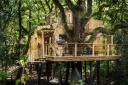 The Woodsman's Treehouse in Holditch