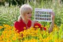 BLOSSOMING: Actress Joanna Lumley launches the Big Butterfly Count