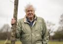 Sir David Attenborough is believed to be visiting Dorset once again