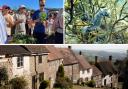Nettle-eating in west Dorset, a spiny seahorse in Dorset waters and, below, Gold Hill in Shaftesbury