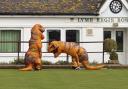 Two T-Rex figures were seen enjoying the facilities at Lyme Regis Bowling Club ahead of the new season