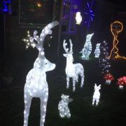 The display on White Close in Bradpole Picture: Monica Teague