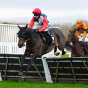 Coquelicot ridden by Rex Dingle goes on to win the Mariner Systems Mares’ Handicap Hurdle on November Racing Weekend Saturday at Ascot Racecourse, Saturday November 19, 2022