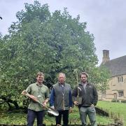 Isaac Cider farm are 'thrilled' to be new owners of one of the saplings