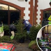 Staff at the Groves battled flooding to deliver Christmas trees in time for the festival