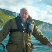 Sir David has described the painstaking efforts of excavating the skull of a sea monster in Dorset as part of a new documentary Picture: BBC/PA Wire