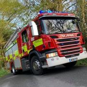 A HORSE was rescued by firefighters after becoming stuck in a ditch in Dorset