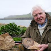 David Attenborough with the ammonite