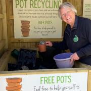 Groves' customer service Diana Legg at its plant pot recycling area