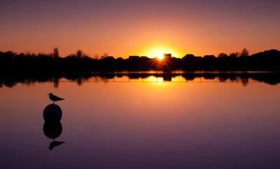 Reflected silhouette on Poole park  lake, taken by Kasia Nowak.