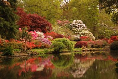 Exbury Gardens,  taken by  Jane  Bottwood.