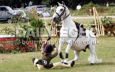 Homeward Farm hosts the Ashley Heath Country Fayre ... This young rider takes a tumble.
