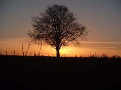 The sun setting at Sixpenny Handley, taken by Anthony O'Hara. 
