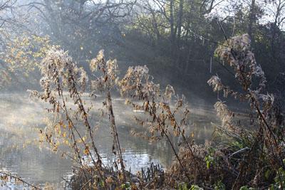 The River Stour at Blandford, taken by Tony Pritchett of Bournemouth.
