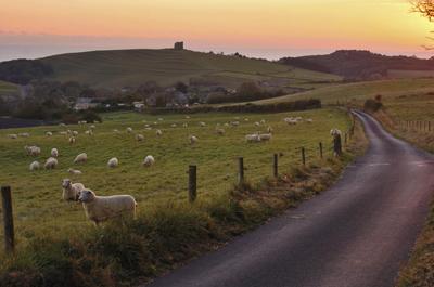 Sunset at St Catherines Chapel, Abbotsbury viewed from Bishops Road. 