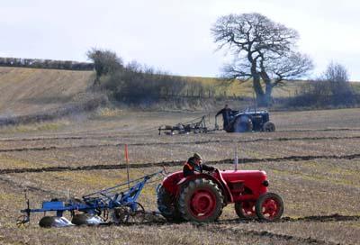 Ploughing match at Puddletown.