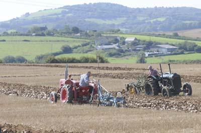 Melplash annual Hedging and Ploughing Competition held at pineapple farm, Salway Ash.   