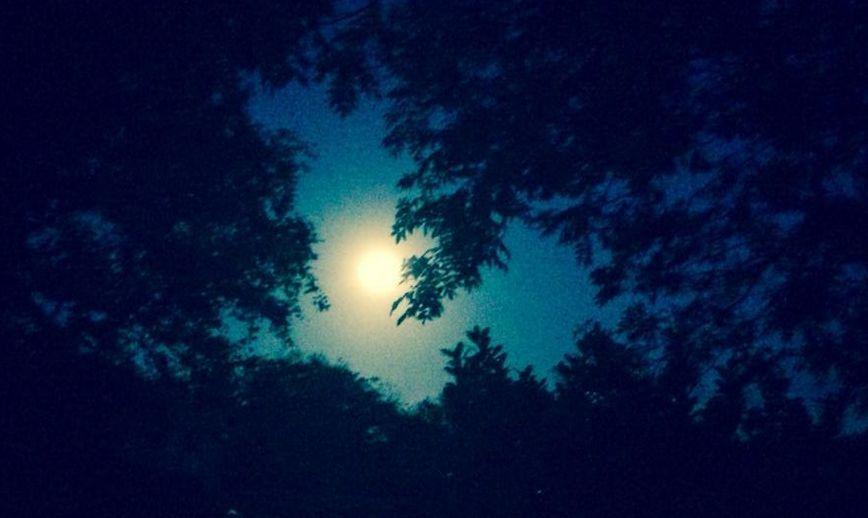 Anne King sent us this supermoon picture