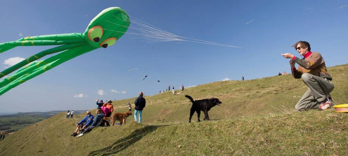 Eggardon Kite Festival 2014