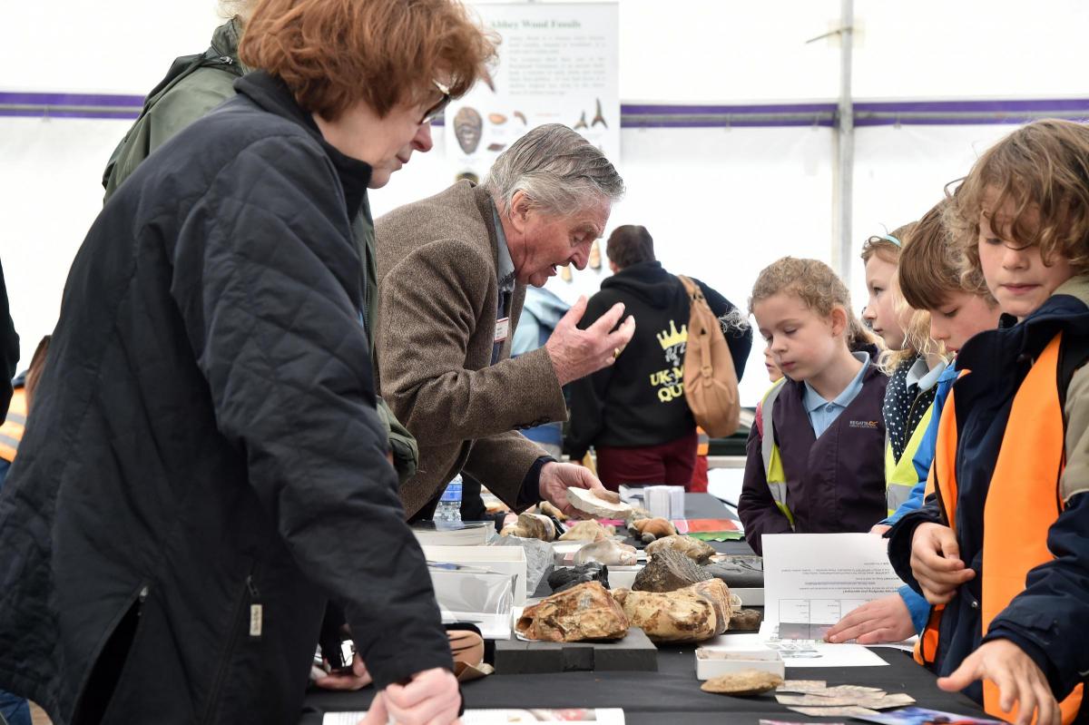 National History displays at Lyme Regis Fossil Festival. Picture:JOHN GURD JG17646.
