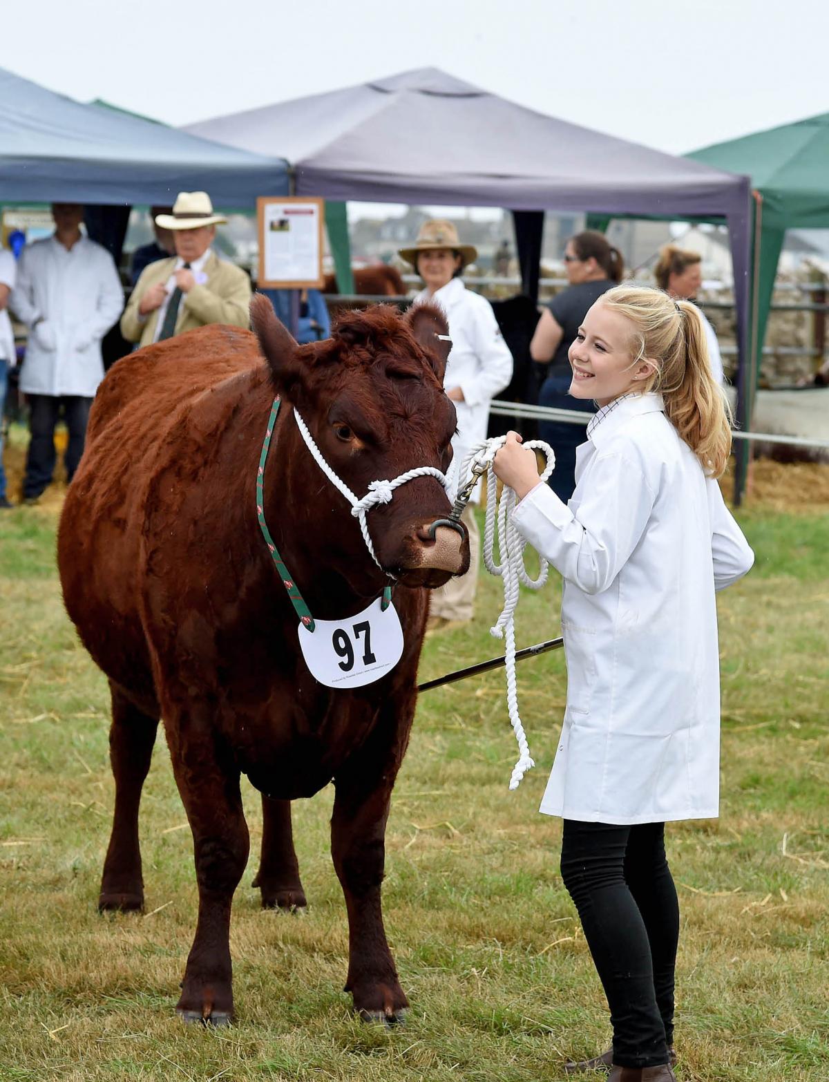 The Melplash Show 2016 at West Bay Showground, Pictures: FINNBARR WEBSTER
