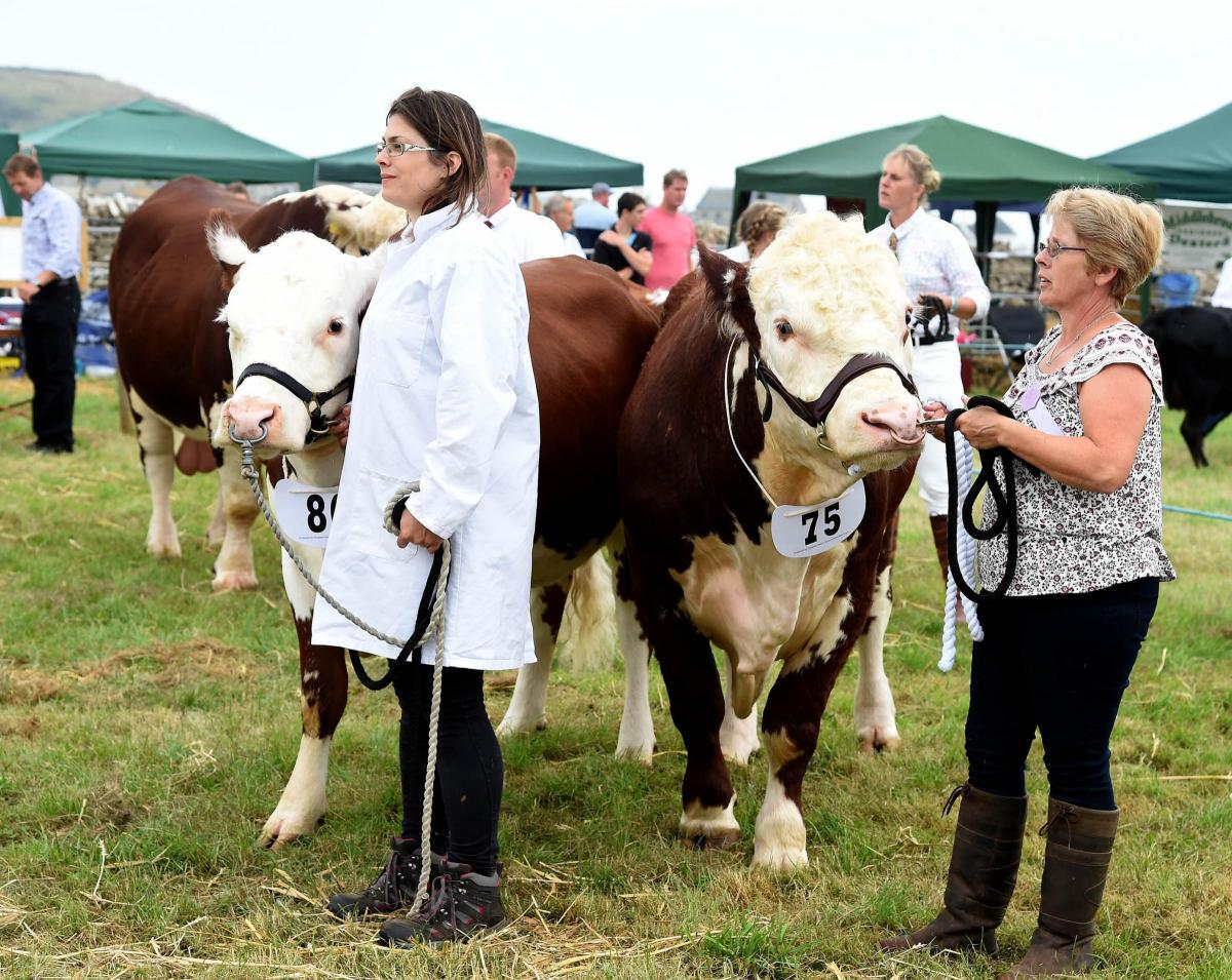 The Melplash Show 2016 at West Bay Showground, Pictures: FINNBARR WEBSTER