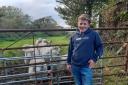 Inspirational young farmer Will Banham has raised his own sheep Picture: Will's Lambs