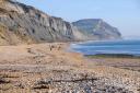 Emergency services were called Charmouth Beach late on Tuesday night