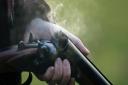 Have your say on changes to gun licences in survey