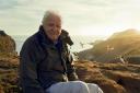 Sir David Attenborough, filming for Wild Isles series next to Common puffins on Skomer Island.