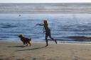 Dogs will soon return to Dorset beaches
