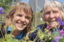 Becky Groves and Monique Pasche from Bridport Gardening Club with some of the plants being used in the planters