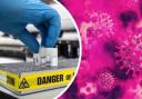 Coronavirus: latest cases confirmed in Dorset