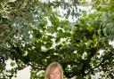 A woman meditating in a garden Picture: Alamy/PA