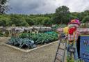 A community garden in Rochdale Picture: Ann Holland/PA
