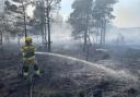 In May 2020 large areas of Wareham Forest were destroyed by a forest fire. Photo: Dorset & Wiltshire Fire and Rescue Service