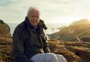 Sir David Attenborough, filming for Wild Isles series next to Common puffins on Skomer Island.