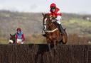 The Big Breakaway is rated as Dorset's best chance of a winner in the Grand National