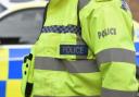 Dorset Police has issued a witness appeal after a dog attacked a flock of sheep near Broadwindsor