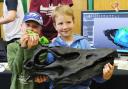 Lyme Fossil Festival in 2019 - Ben and Leo get their hands on some skulls