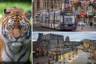Here are the best five attractions in Lancashire for you to visit this year according to Tripadvisor reviews. (Tripadvisor)