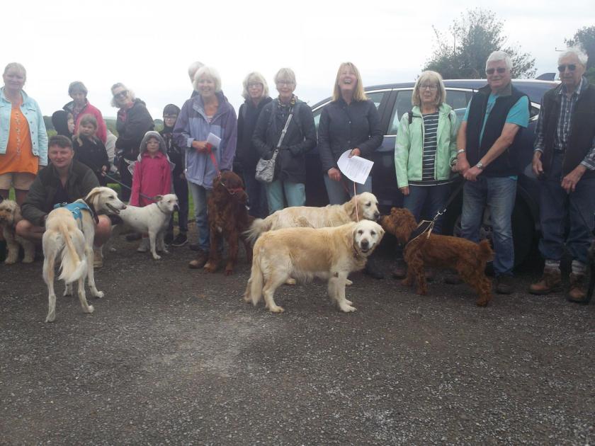 Dog walk raises more than £2k for Greek animal shelter | Bridport and Lyme Regis News