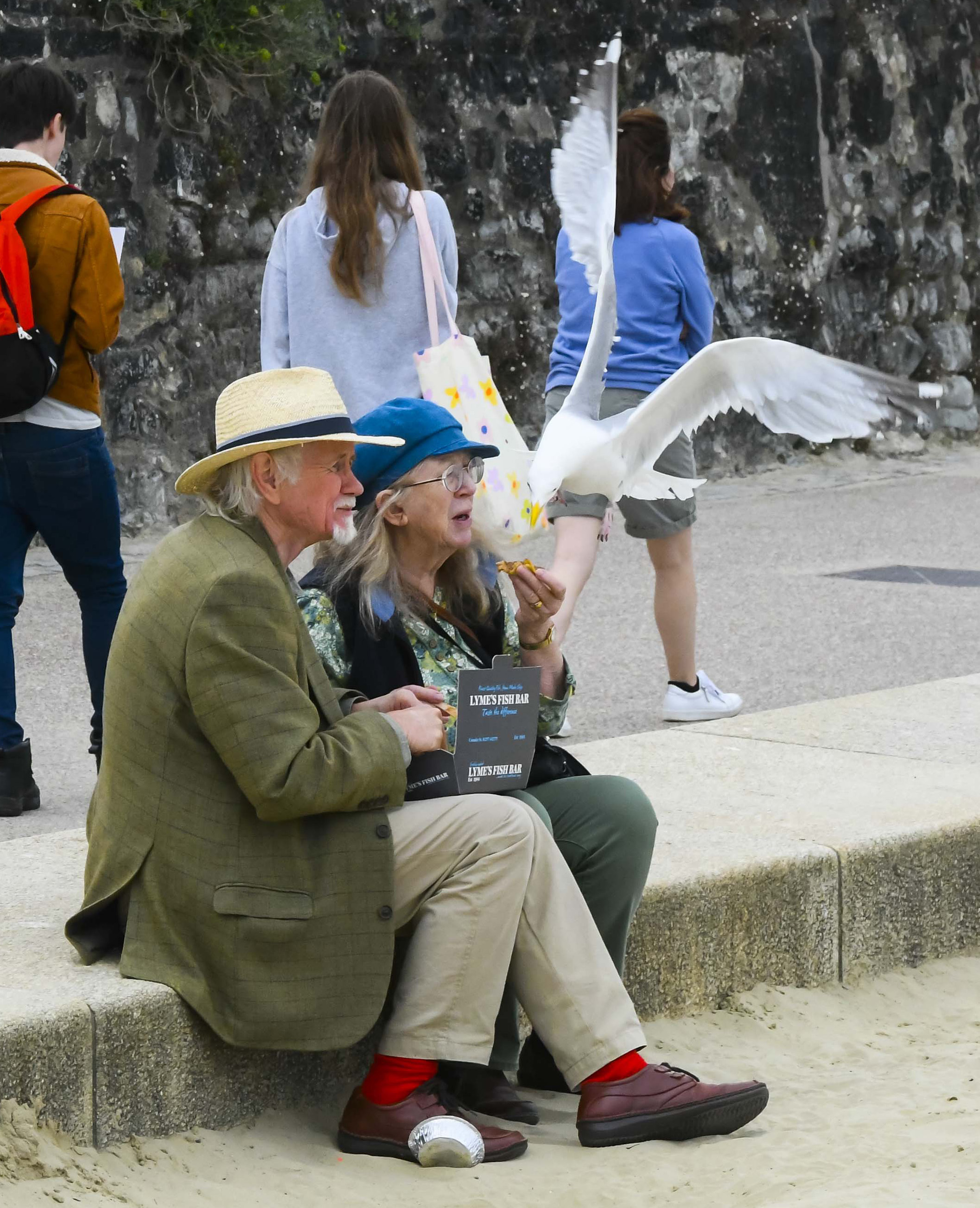 A daring seagull flies in and steals a piece of fish from the fingers of a woman having lunch with her husband at the beach at the seaside resort of Lyme Regis in Dorset. The gull swoops to grab the fish from the woman fingers 5th July 2022. Picture