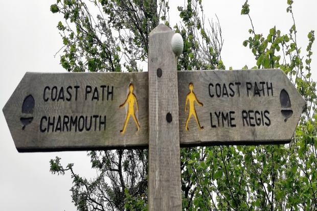 The new coastal path see walkers no longer having to take a diversion along the A3052  Picture: Dorset Council