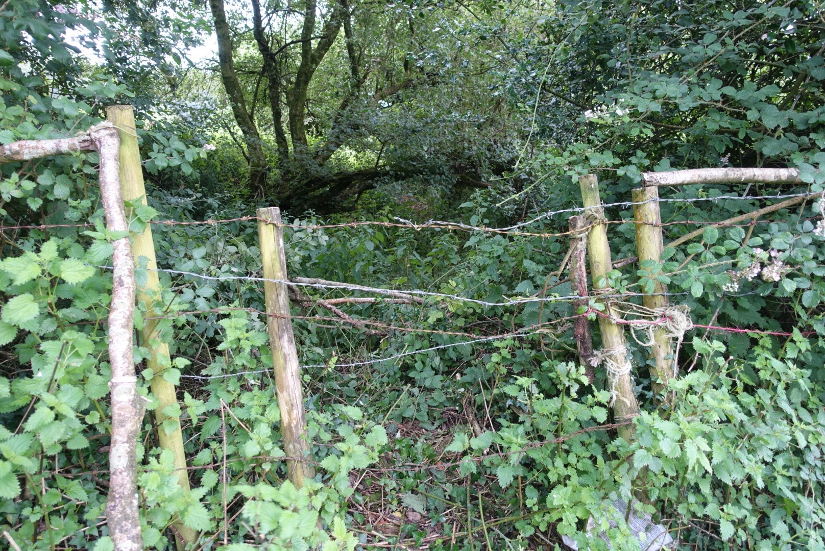 Plans to divert Beaminster footpaths approved by council | Bridport and Lyme Regis News - Vimarsana News