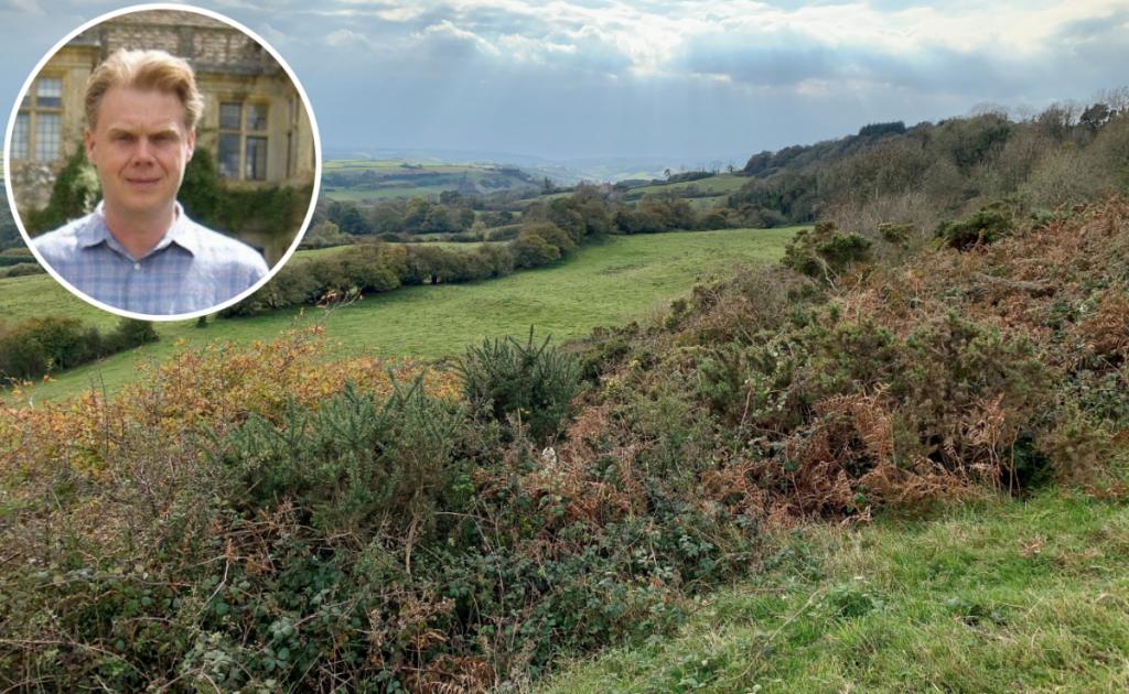 Mapperton Estate third most stunning rewilding project UK | Bridport and Lyme Regis News 