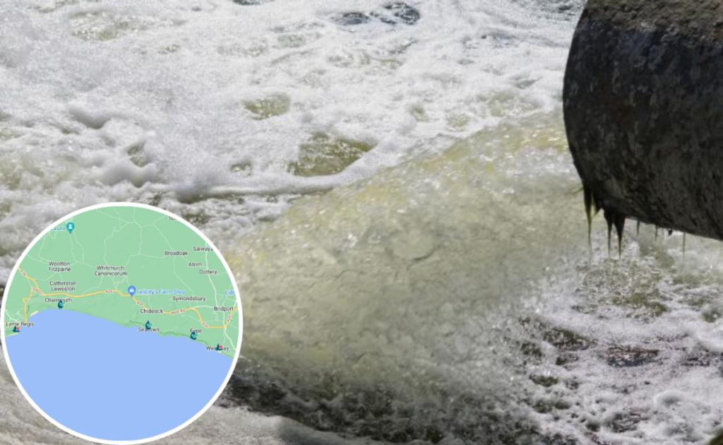 Pollution Alert: Sewage overflows at West Bay and Lyme Regis | Bridport and Lyme Regis News 